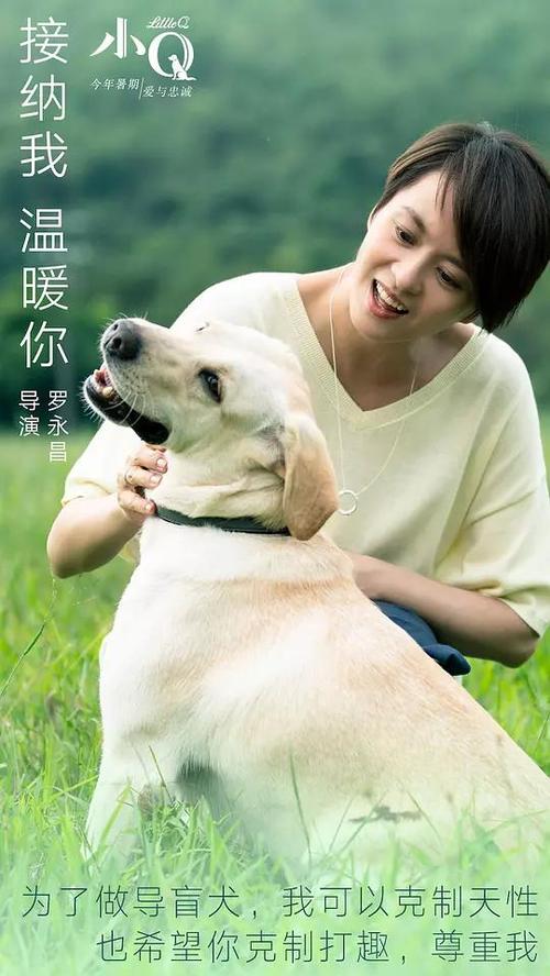 中国人如何取得国际驾照怎么申请